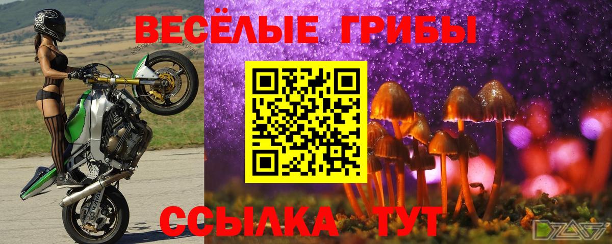 Псилоцибиновые грибы Psilocybe Якутск