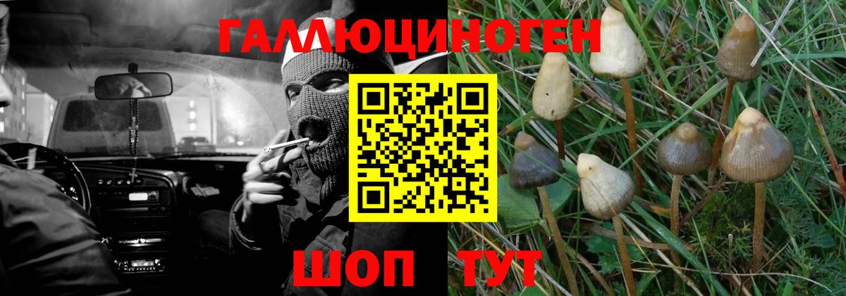 Якутск  Галлюциногенные грибы Psilocybine cubensis  Псилоцибиновые грибы прущие грибы  Вход с VPN 
